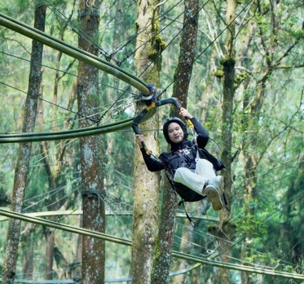 ZIPCOASTER